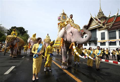  The White Elephant!: Unveiling an Ancient Thai Tale of Majesty and Misfortune